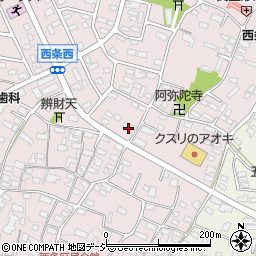 長野県中野市西条1105周辺の地図