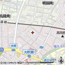 富山県高岡市大野193周辺の地図