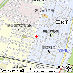 富山県高岡市三女子45-4周辺の地図