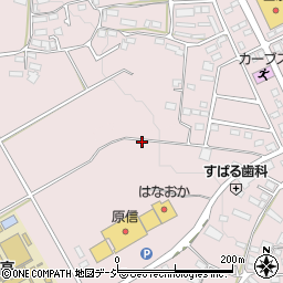 長野県中野市西条609周辺の地図