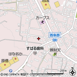 長野県中野市西条1345周辺の地図