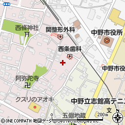 長野県中野市西条891-11周辺の地図