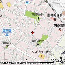 長野県中野市西条1073周辺の地図