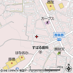 長野県中野市西条1342周辺の地図