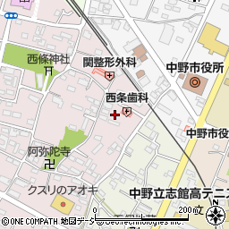 長野県中野市西条891周辺の地図