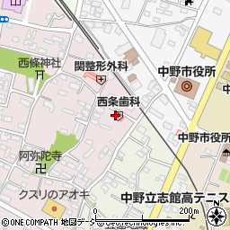 長野県中野市西条893周辺の地図