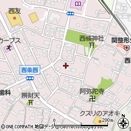 長野県中野市西条1082周辺の地図