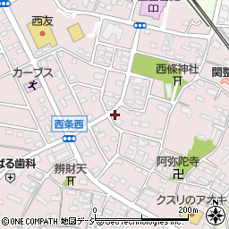 長野県中野市西条1079周辺の地図