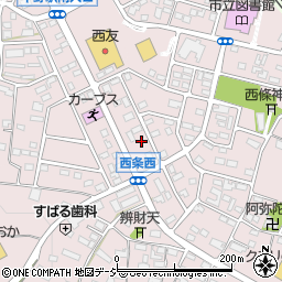 長野県中野市西条1299周辺の地図