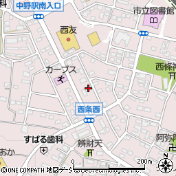 長野県中野市西条1298周辺の地図
