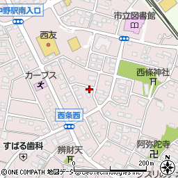長野県中野市西条1161周辺の地図