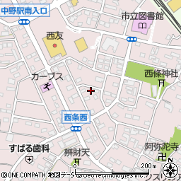 長野県中野市西条1170周辺の地図