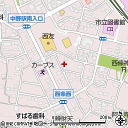 長野県中野市西条1289周辺の地図