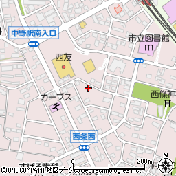 長野県中野市西条1282周辺の地図