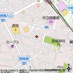 長野県中野市西条1189周辺の地図