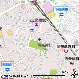 長野県中野市西条1033周辺の地図