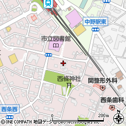 長野県中野市西条1008周辺の地図