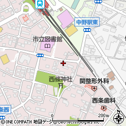 長野県中野市西条1016周辺の地図