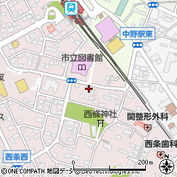 長野県中野市西条1006周辺の地図