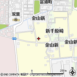 富山県富山市金山新東216周辺の地図