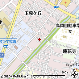 富山県高岡市野村632周辺の地図