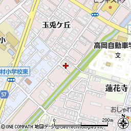 富山県高岡市野村632-6周辺の地図