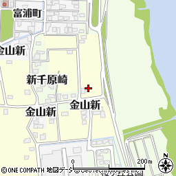 富山県富山市金山新東251-3周辺の地図