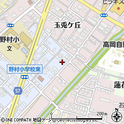 富山県高岡市野村594-1周辺の地図