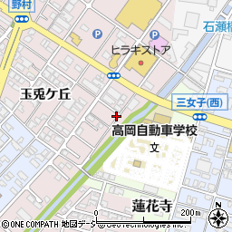 富山県高岡市野村623周辺の地図