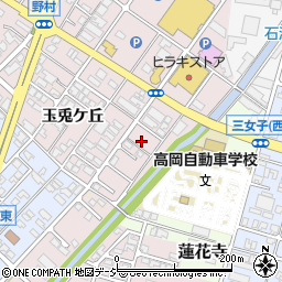 富山県高岡市野村624-9周辺の地図