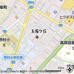 富山県高岡市野村575-5周辺の地図