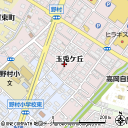 富山県高岡市野村572周辺の地図