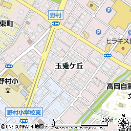 富山県高岡市野村571-2周辺の地図