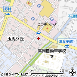 富山県高岡市野村620周辺の地図