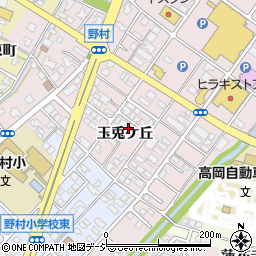 富山県高岡市野村568-16周辺の地図