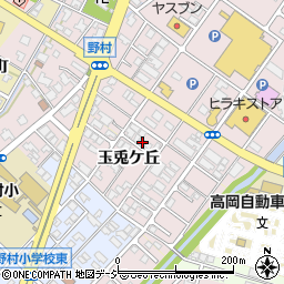 富山県高岡市野村568周辺の地図