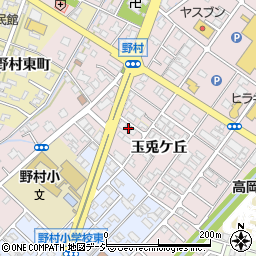 富山県高岡市野村536周辺の地図