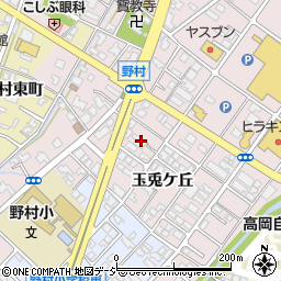 富山県高岡市野村538周辺の地図