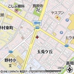 富山県高岡市野村539周辺の地図