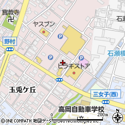 富山県高岡市野村611周辺の地図