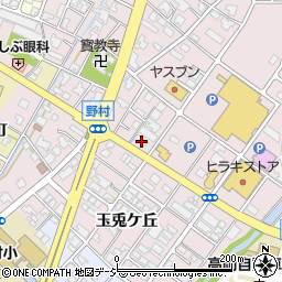 富山県高岡市野村550周辺の地図