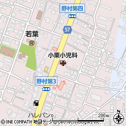 富山県高岡市野村869周辺の地図