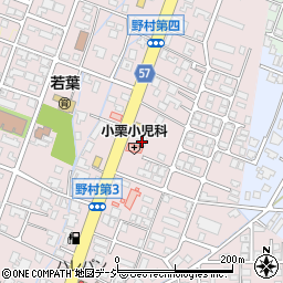 富山県高岡市野村868周辺の地図