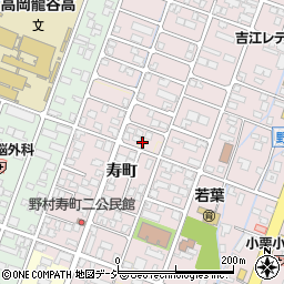 富山県高岡市野村1138-4周辺の地図