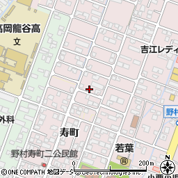 富山県高岡市野村1142周辺の地図