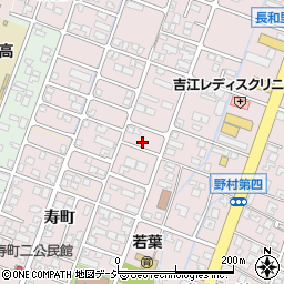 富山県高岡市野村1173周辺の地図