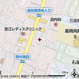 富山県高岡市野村1248周辺の地図