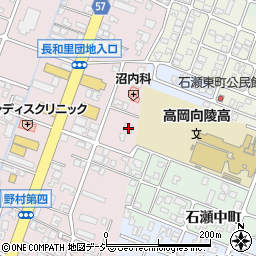 富山県高岡市野村1321周辺の地図