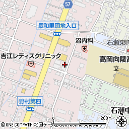 富山県高岡市野村1319-1周辺の地図