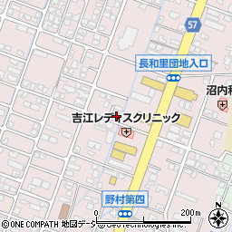 富山県高岡市野村1199周辺の地図